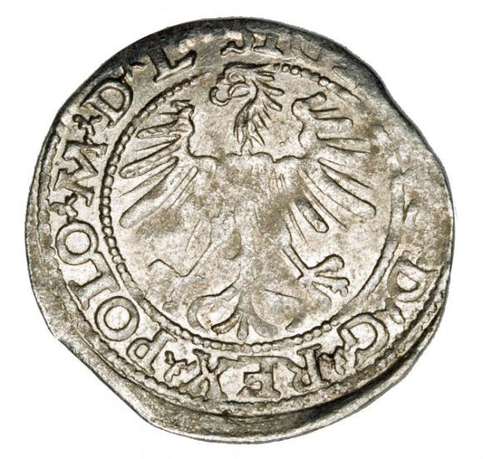 Półgrosz 1563 Zygmunt II August Litwa Wilno