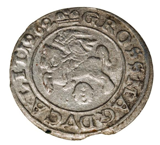 Półgrosz 1262/1626 Zygmunt III Waza Litwa Wilno