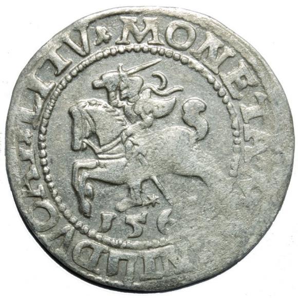 Półgrosz 1563 Zygmunt II August Wilno