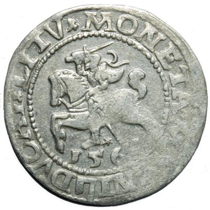 Półgrosz 1563 Zygmunt II August Wilno