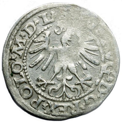 Półgrosz 1563 Zygmunt II August Wilno