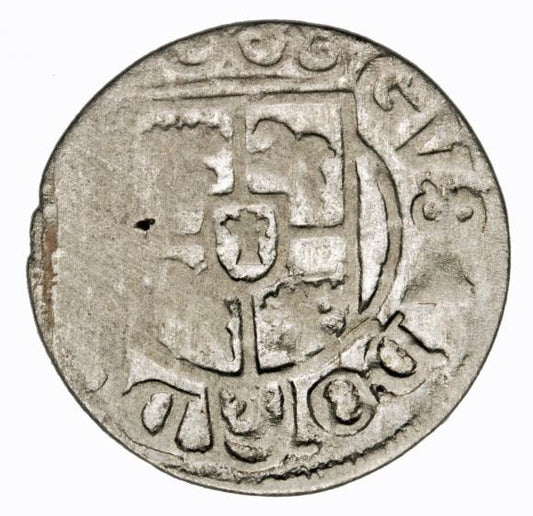 Półtorak 1633 Gustaw II Adolf Elbląg