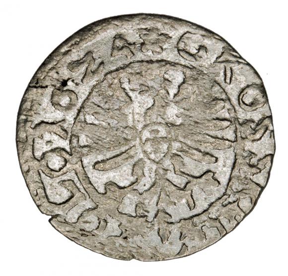 Grosz 1624 Zygmunt III Waza Bydgoszcz