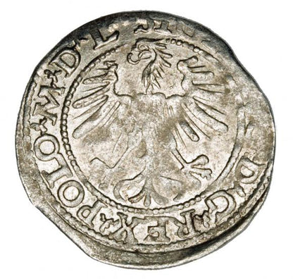 Półgrosz 1563 Zygmunt II August Litwa Wilno