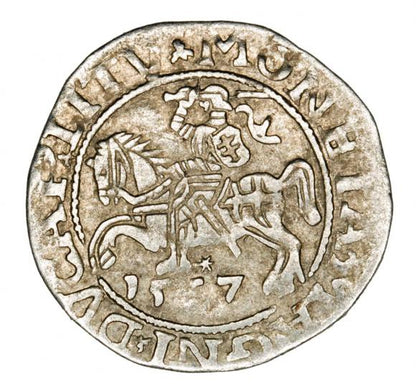Półgrosz 1557 Zygmunt II August Litwa Wilno