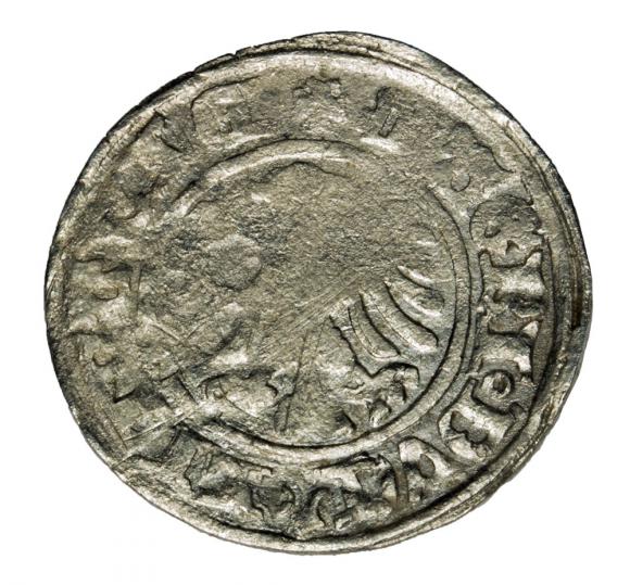 Półgrosz Aleksander Jagiellończyk Polska Wilno