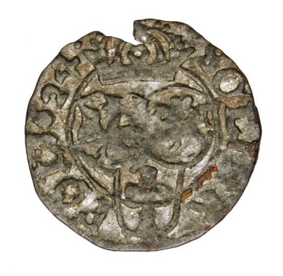 Szeląg 1624 Zygmunt III Waza Polska Bydgoszcz