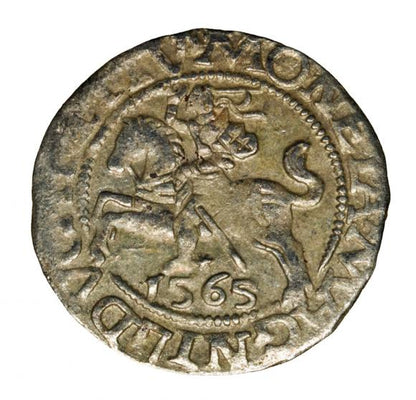 Półgrosz 1565 Zygmunt II August Litwa Wilno