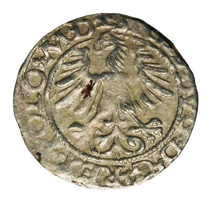 Półgrosz 1565 Zygmunt II August Litwa Wilno