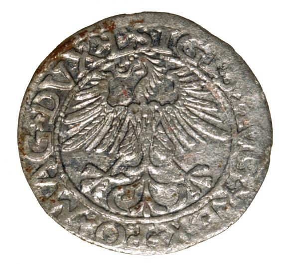 Półgrosz 1561 Zygmunt II August Wilno