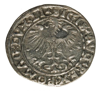 Półgrosz 1556 Zygmunt II August Wilno