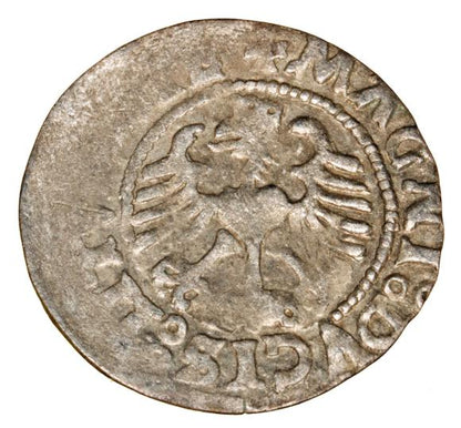 Półgrosz 1526 Zygmunt I Stary Litwa Wilno