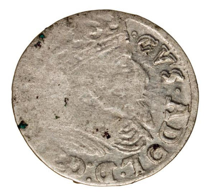 Grosz 1629 Gustaw II Adolf Elbląg