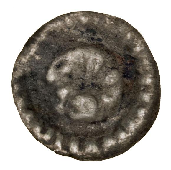 Brakteat 1233-1269 Gryf Sambor II Pomorze Gdańskie