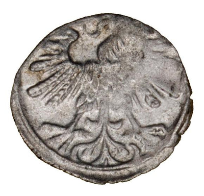 Denar 1559 Zygmunt II August Litwa Wilno