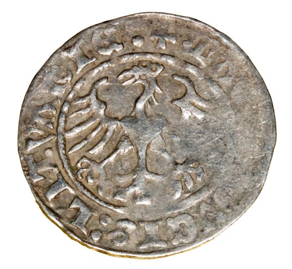 Półgrosz 1513 Zygmunt I Stary Litwa Wilno