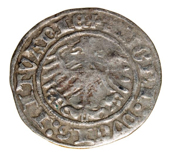 Półgrosz 1514 Zygmunt I Stary Litwa Wilno