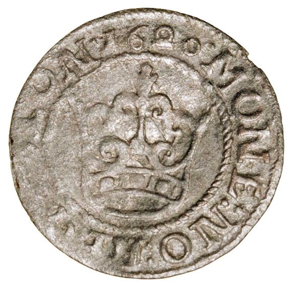 Półgrosz 1620 Zygmunt III Waza Polska Bydgoszcz