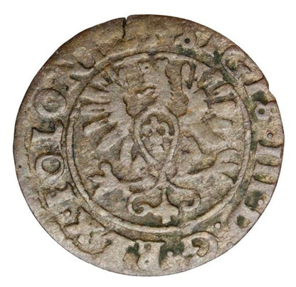 Szeląg 1625 Zygmunt III Waza Polska Bydgoszcz