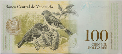 100 000 Boliwarów - Wenezuela - 2017 rok