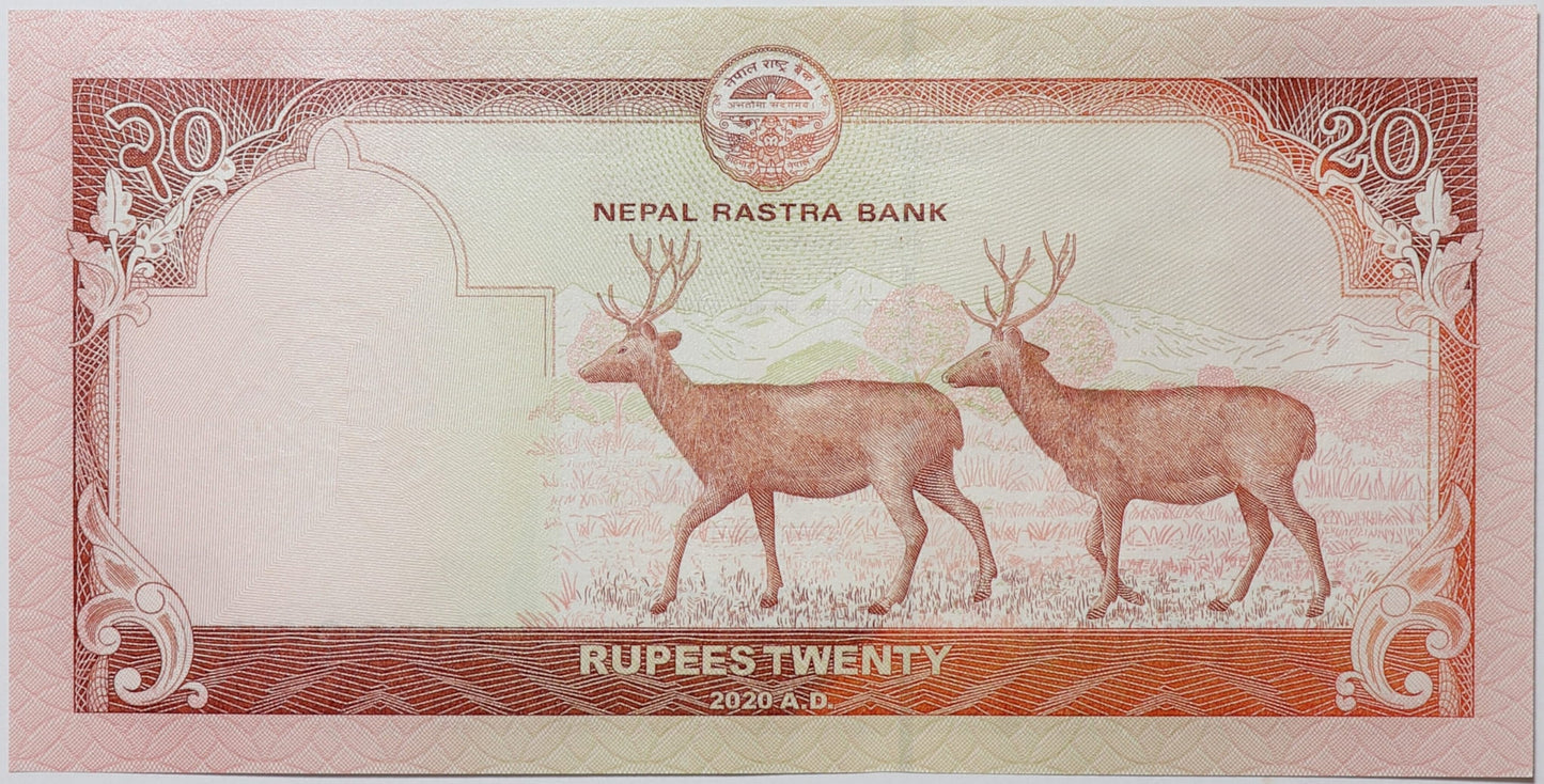 20 Rupii - Nepal - 2020 rok