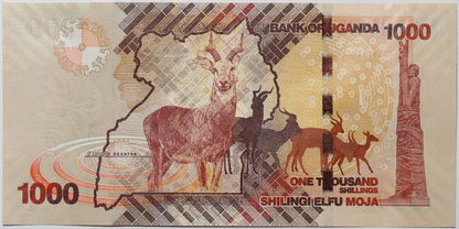 1000 Szylingów - Uganda - 2022 rok